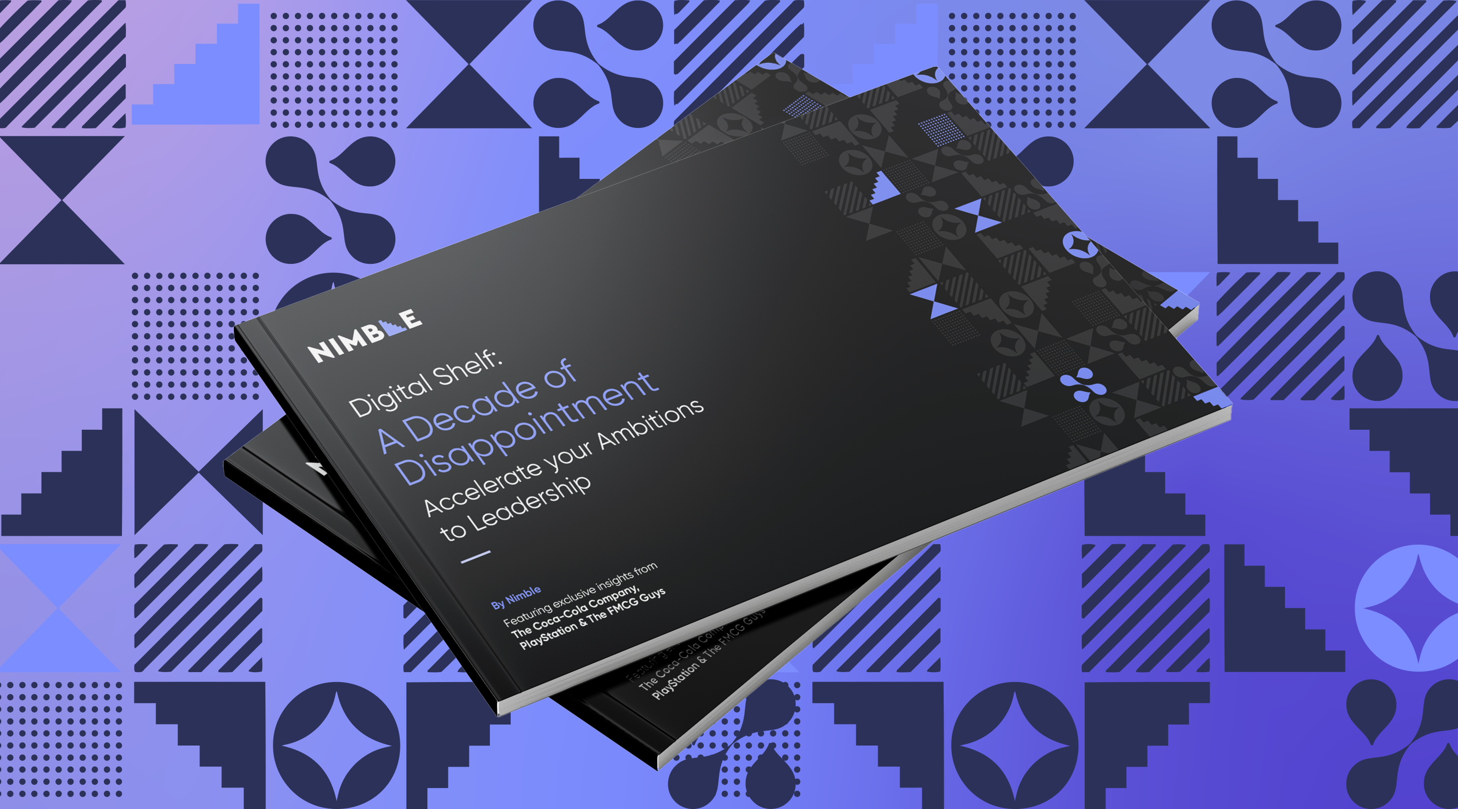 Nimble-Report-Mock Up